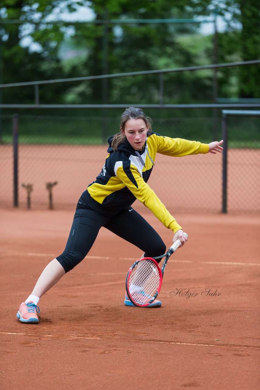 Bild 214 - NL VfL Westercelle - SVE Wiefelstede : Ergebnis: 8:1